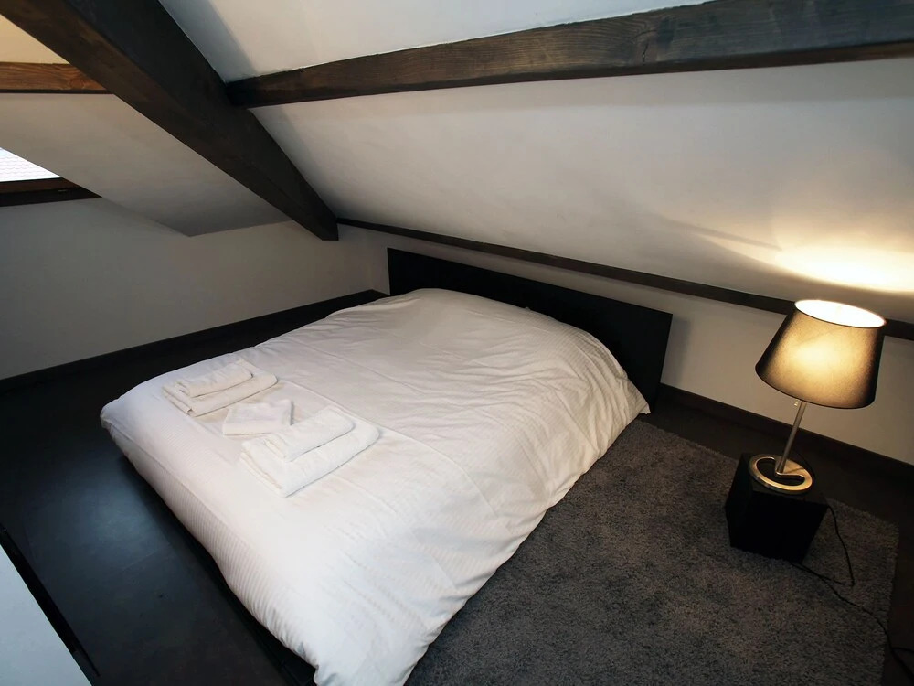 2 bd apartment with sauna- center Annecy