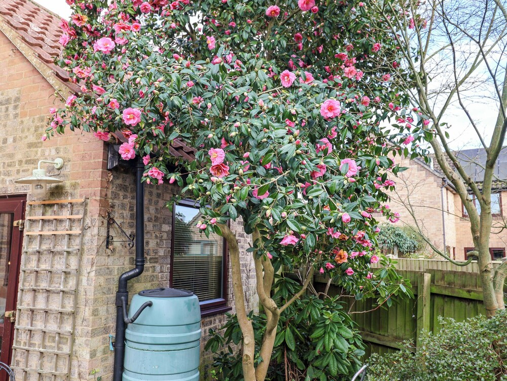 17 Demesne Gardens