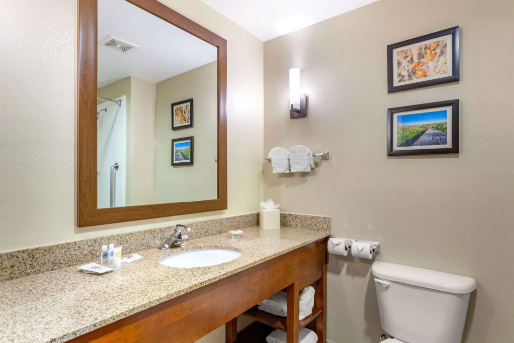 Comfort Suites Glendale - State Farm Stadium Area