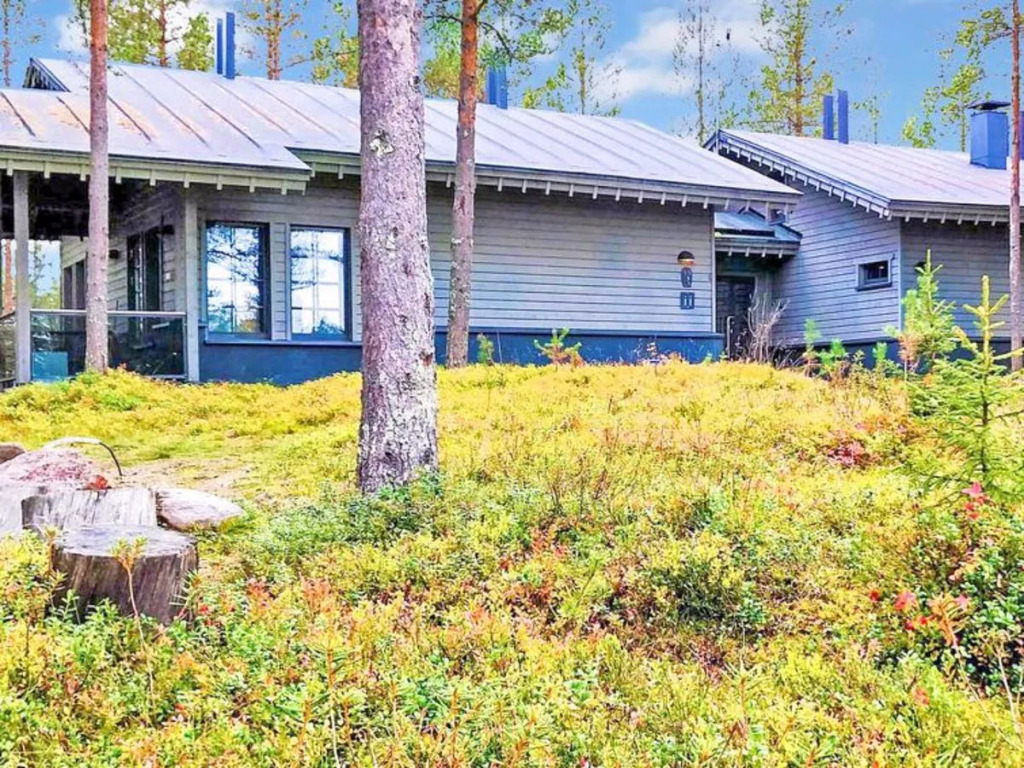 Tunturipöllö 4