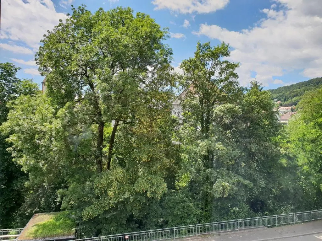 Waldshut-Zentrum