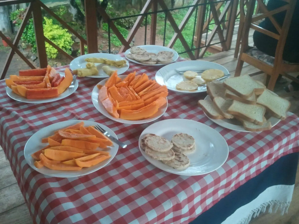 Hotel Mango Garden
