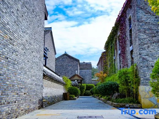Ven Courtyard