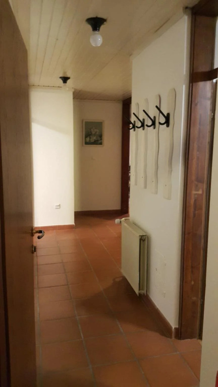Apartman Majkic, Marija Majkic, sobodajalka