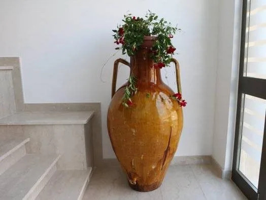 B&B Al Picchio