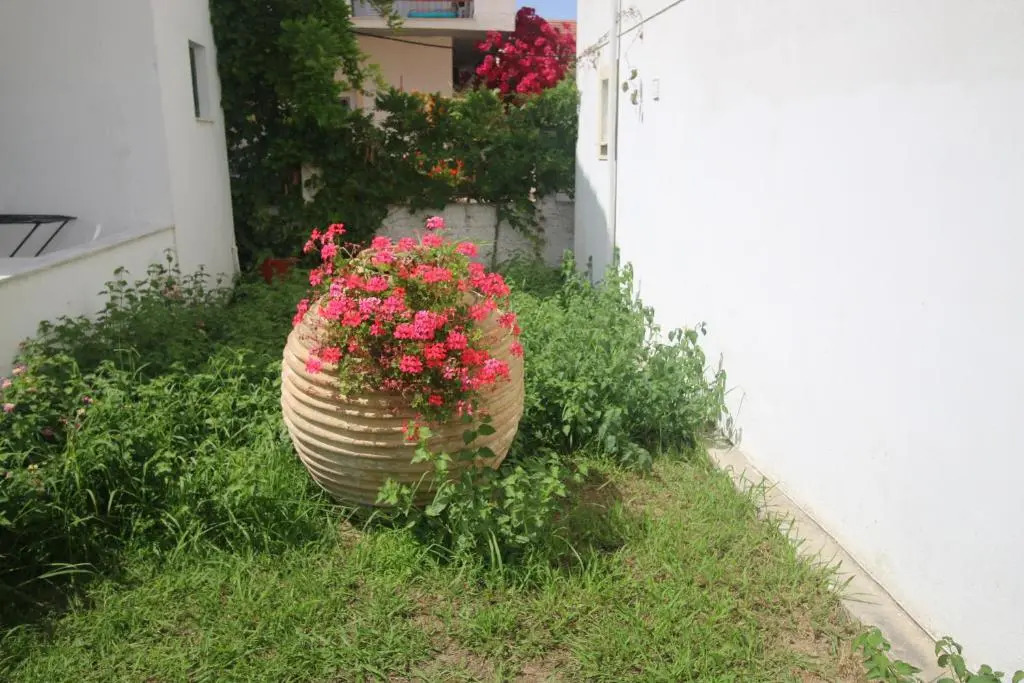 Utopia Kavos Hotel