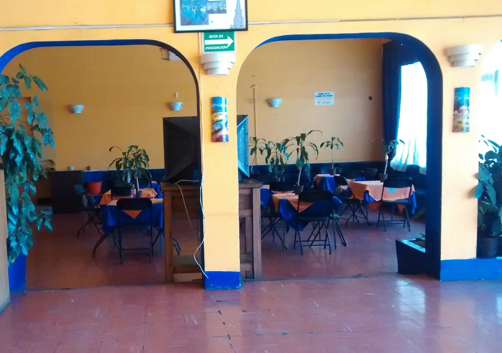 Hotel Árbol Grande