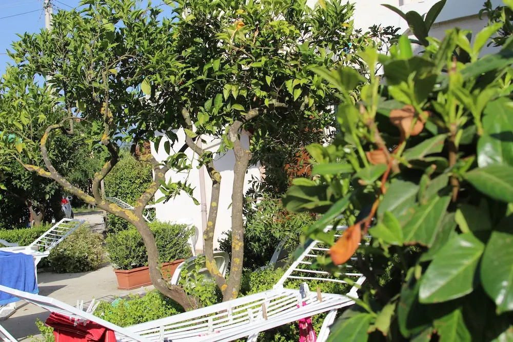 B&B Country House Il Grappolo