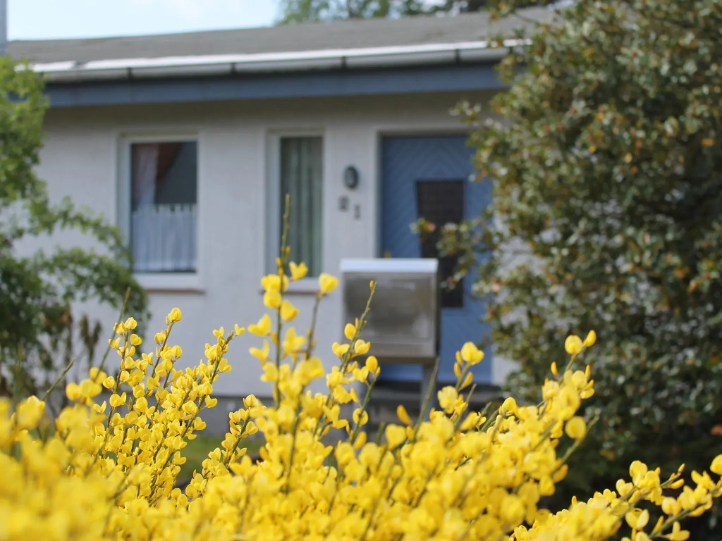 Ruhiges Ferienhaus in Zingst-urlaub Nahe am Strand