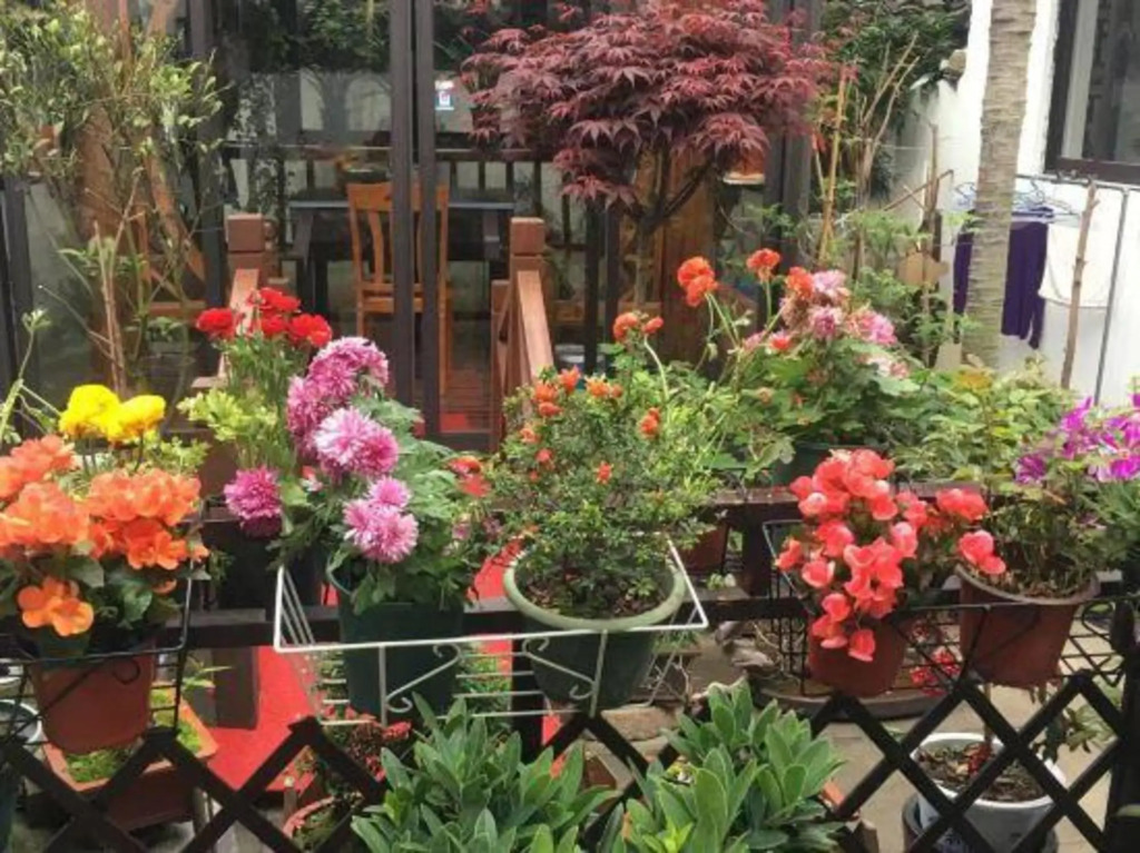 Tongli Defu Caotang Boutique Hostel