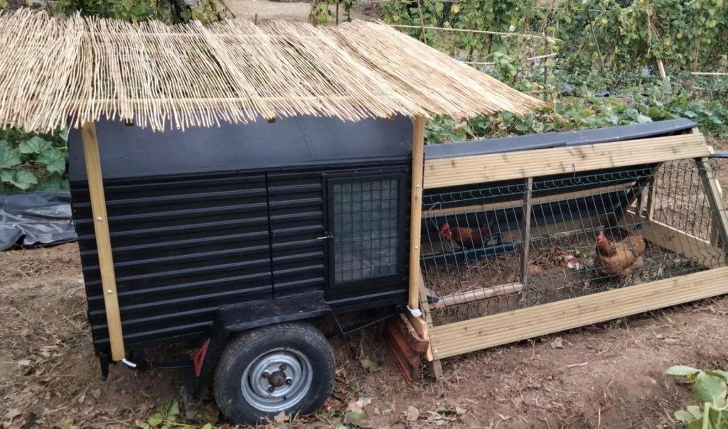 Galo Preto - Urban Agriculture - Healthy Food