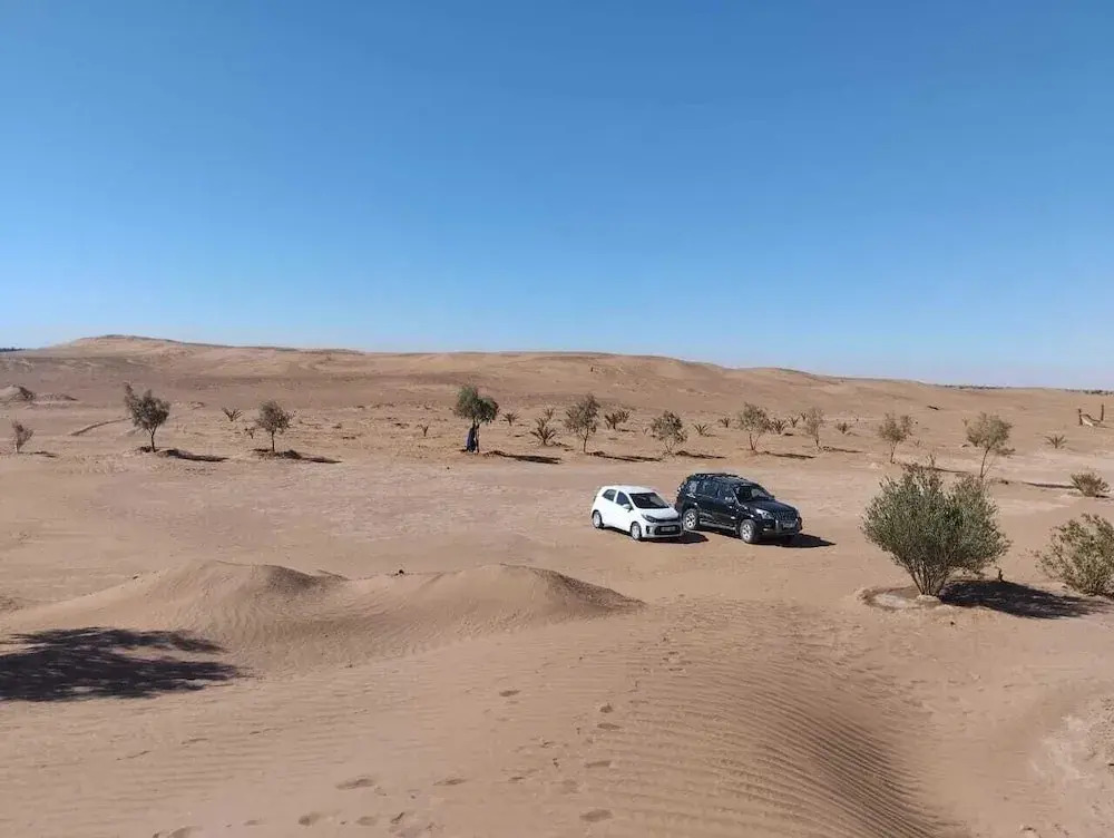 Mhamid Desert Camp Tours