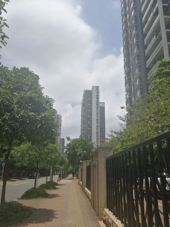You Hostel Shenzhen - Adults Only
