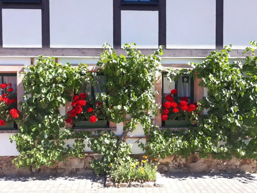 Balancehaus Kohren-Sahlis, dein Kurhaus in Sachsen
