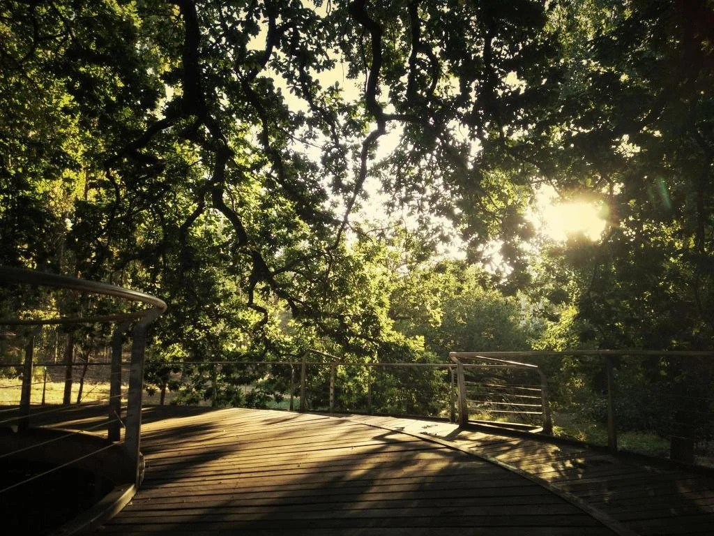 Natures Paradise