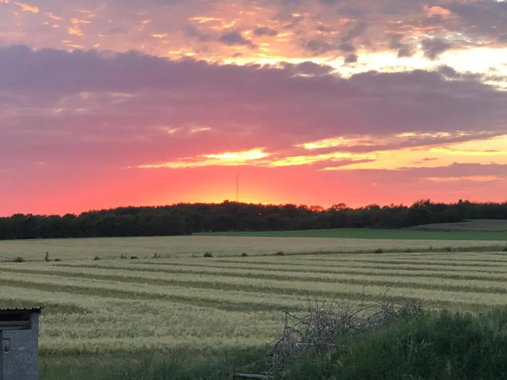 Høloftet bb