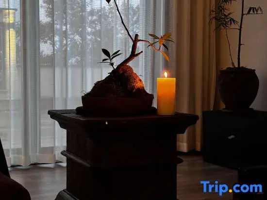 Wind Whispering Retreat • Mind-Body Rejuvenation •  Forest Villa  Hotel