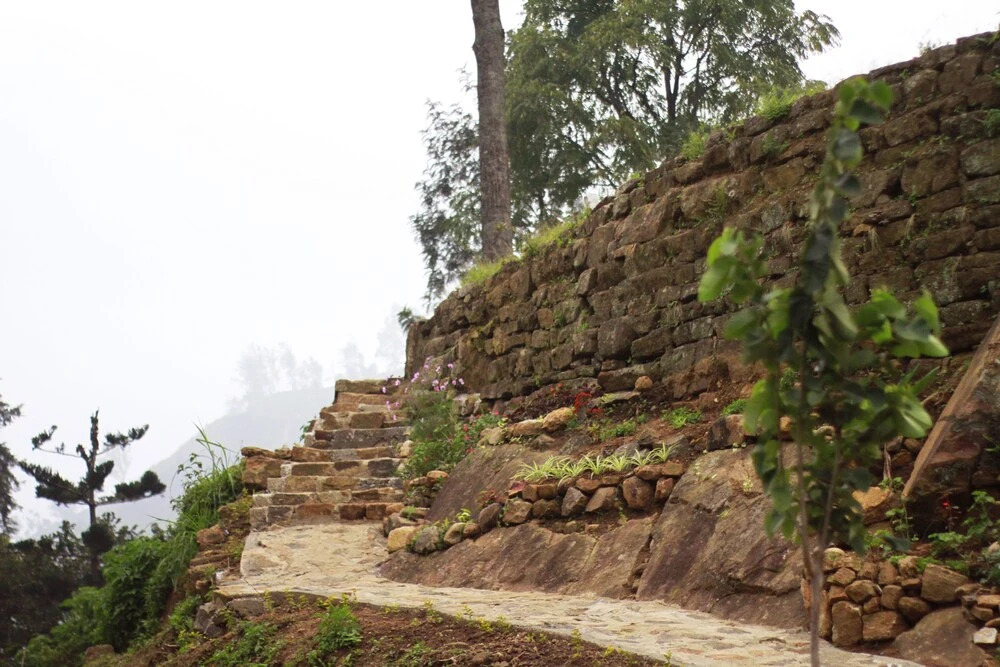 Meena Ammas Tea Experience