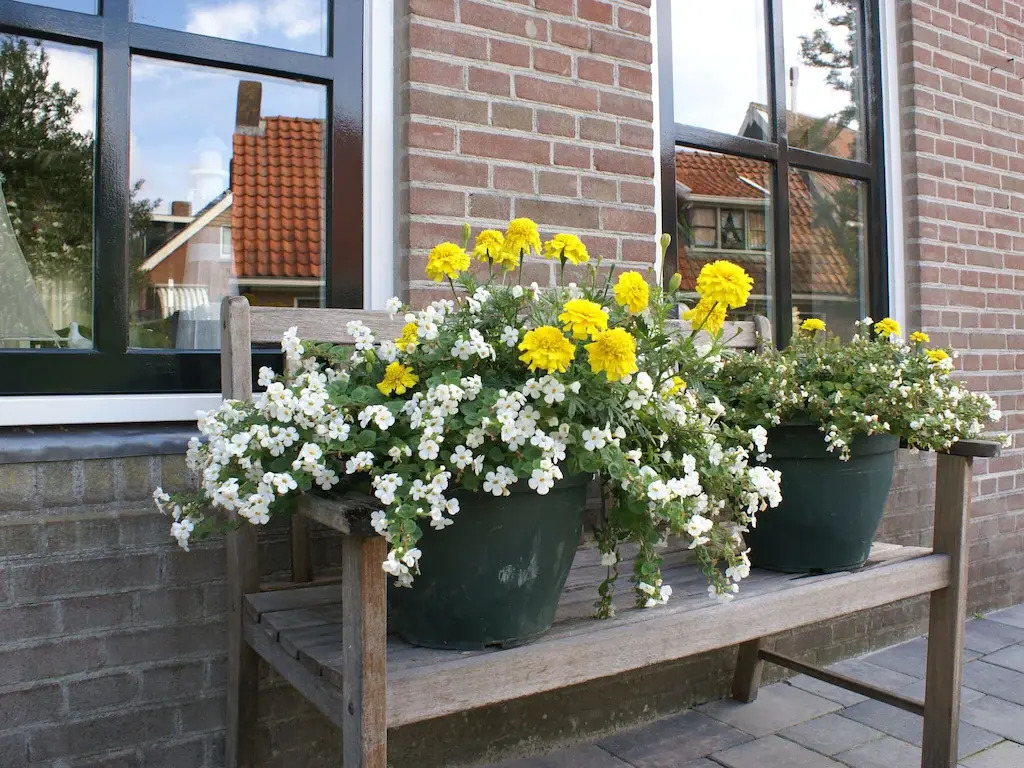 Fantastic luxury vacation home and next to the Wadden Sea