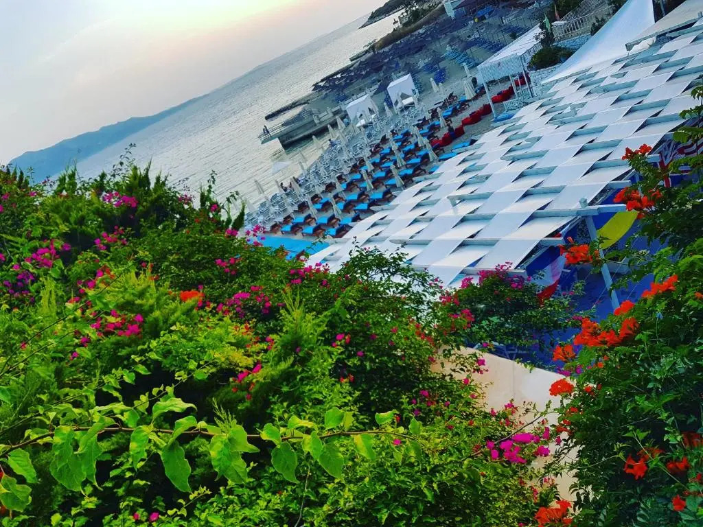 Cocktail Dreams Saranda