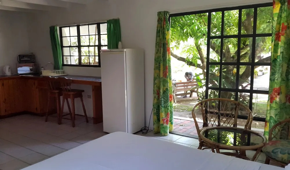 Bananaquit Tobago -Stay Near the Beach