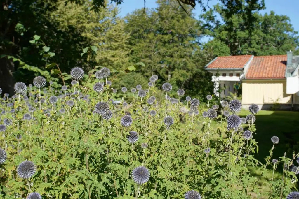Skärva Herrgård