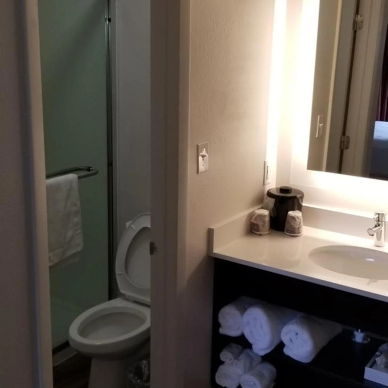 Hotel South Tampa & Suites