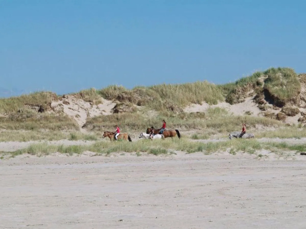 "Gunde" - 900m from the sea in Western Jutland