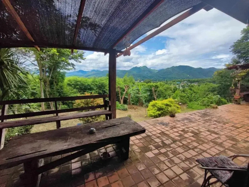 The Lookout Pai