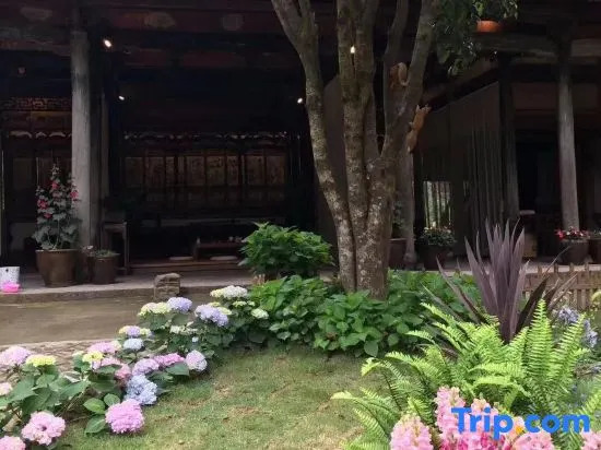 Fengyi Guesthouse
