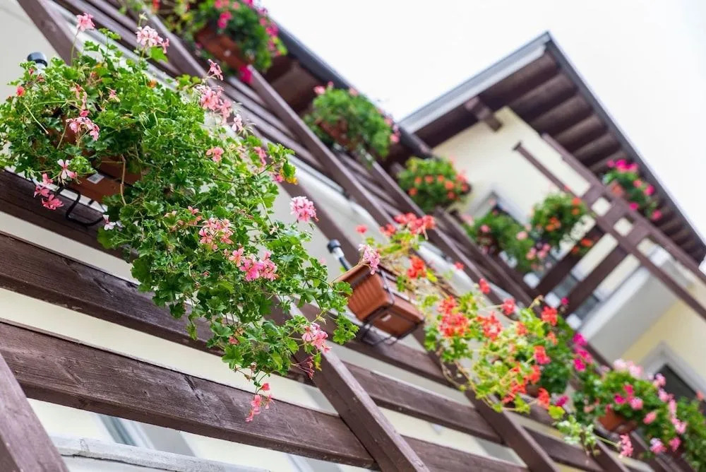 B&B Prato Solaro