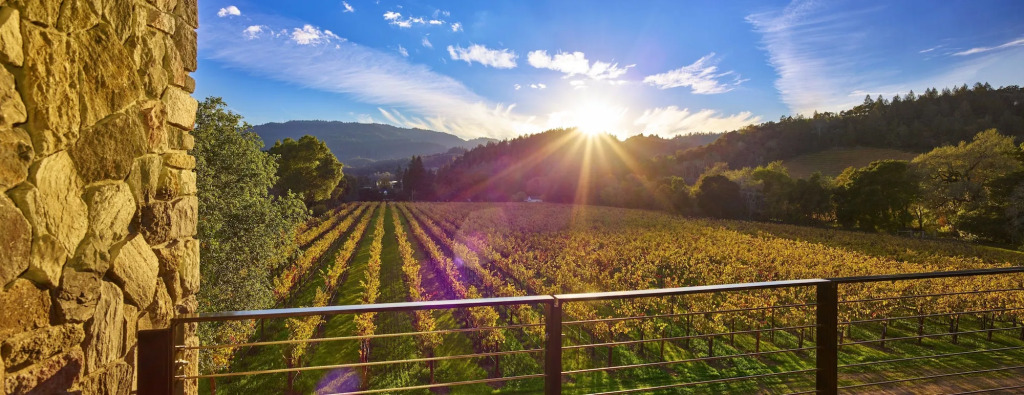 Alila Napa Valley, a Hyatt Resort