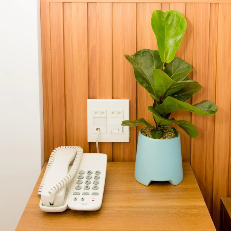 TH Quy Nhơn Hotel