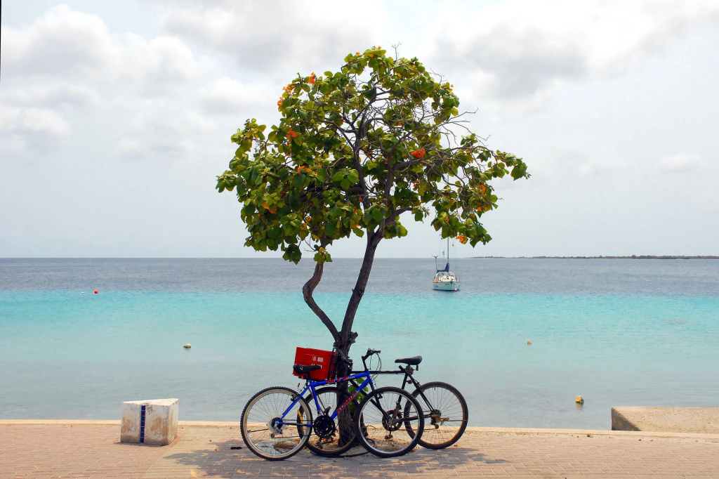 City INN Bonaire
