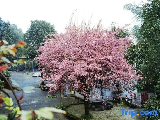 Yindingfeng Hotel