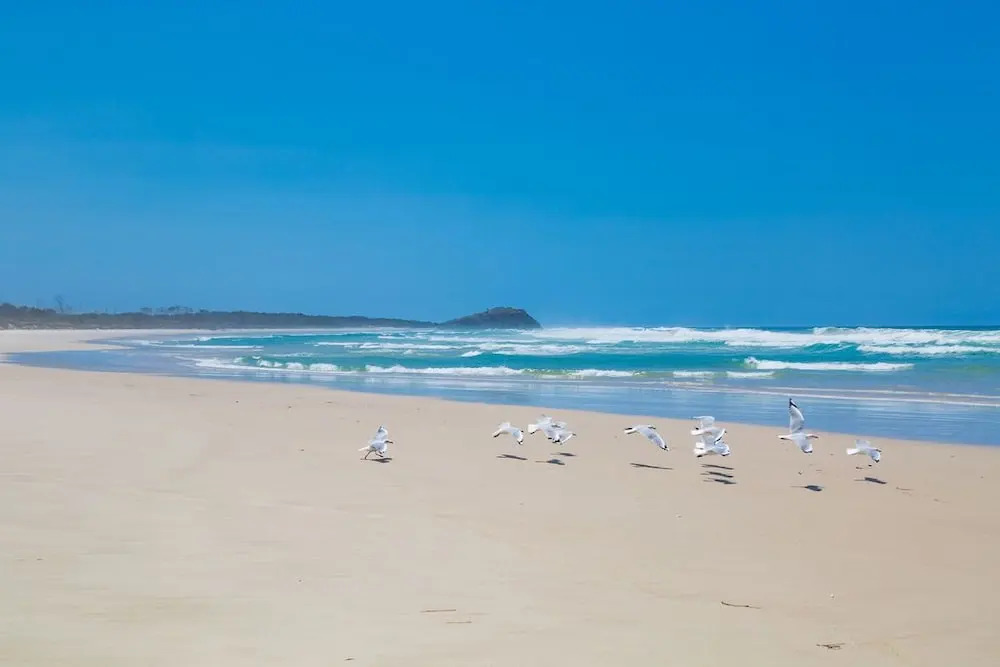 Sandpiper Beach Front House