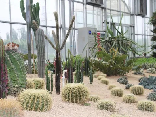 Shungeng Manor Ecological Park