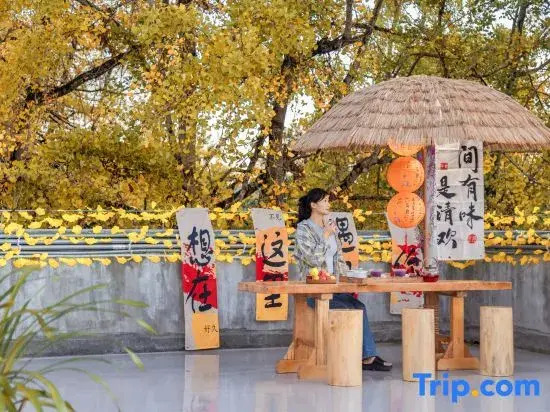 Ginkgo Village Leaf-Picking Inn