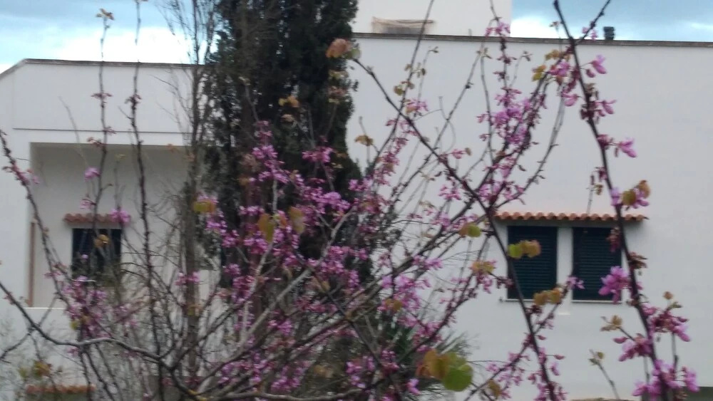 Casa di Maria