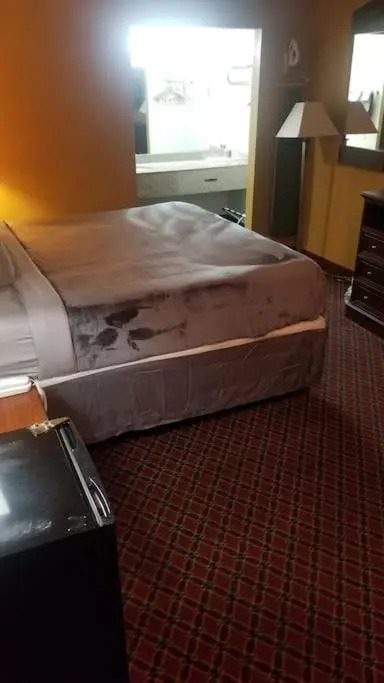 OSU King Bed Hotel 223 Booking