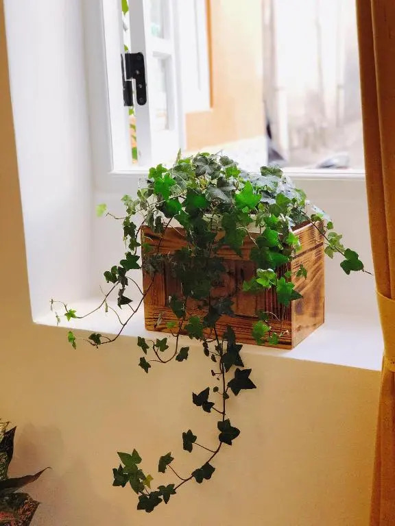 Suri’s Apartment - Suri’s House 2