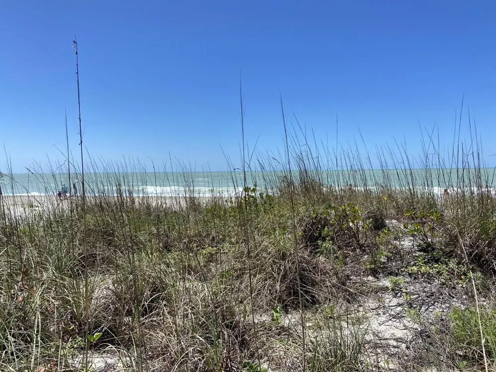Slice of Paradise in Manasota Key