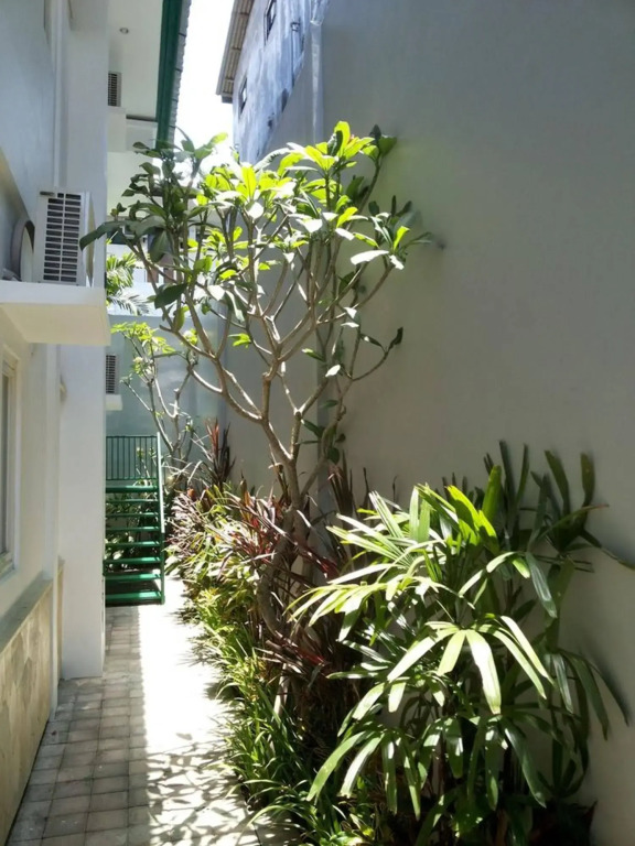 Dara House