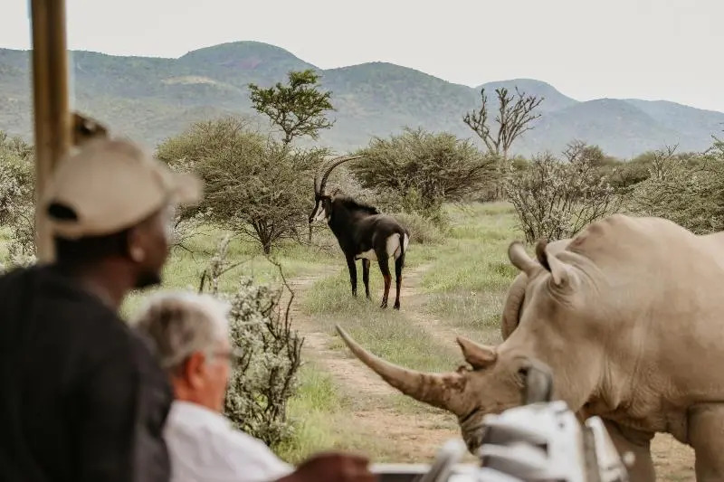 Okapuka Safari Lodge