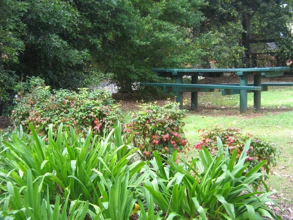 Palmwoods Caravan Park Cabin