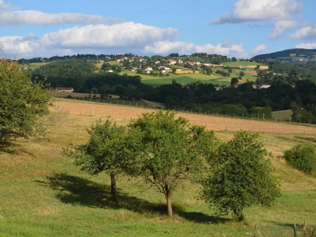Maison rustique avec jardin à Aveizieux, animaux admis - FR-1-496-175