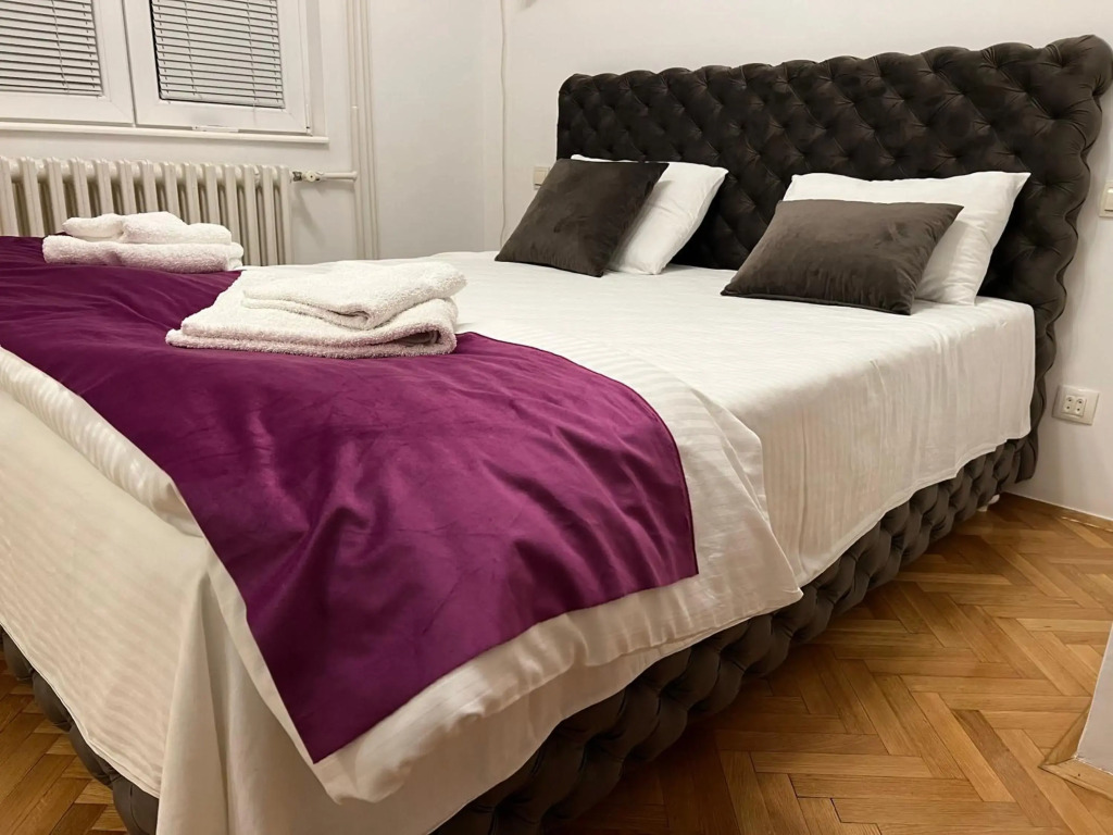 Apartment Vračar