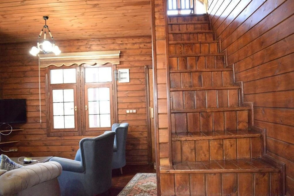 Zahi Bungalov