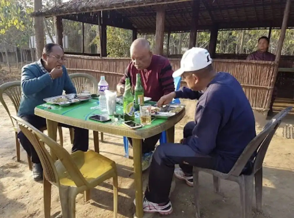Nepal Himalayan Paulownia Resort