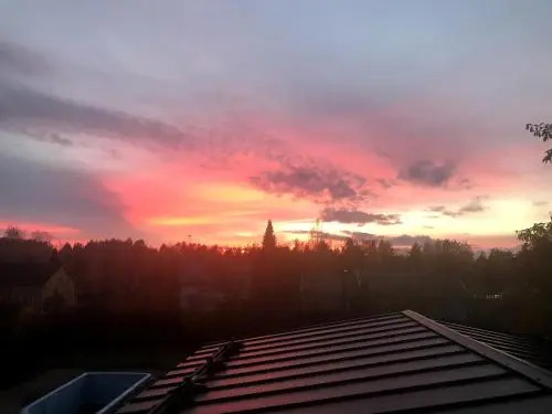 Polku Apartaments